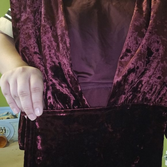 🌸Tobi Velvet Wine Dress - Picture 3 of 5